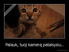 Palauk, tuoj kamerą pataisysiu.. - 
