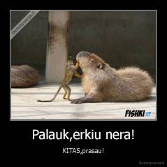 Palauk,erkiu nera! - KITAS,prasau!