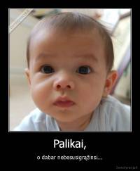 Palikai, - o dabar nebesusigrąžinsi...