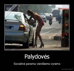 Palydovės - Socialinė parama vienišiems vyrams