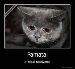 Pamatai - Ir negali nesišypsoti