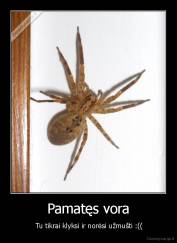 Pamatęs vora -  Tu tikrai klyksi ir norėsi užmušti :((