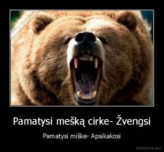 Pamatysi mešką cirke- Žvengsi - Pamatysi miške- Apsikakosi