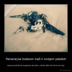 Pamenat,kai budavom maži ir norėjom palaidoti - negyva gyvūnėli,bet suagusieji sakydavo: neliesk,užsikrėsi kokia nors liga.