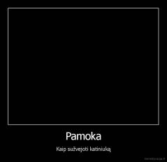 Pamoka - Kaip sužvejoti katiniuką