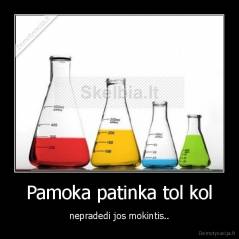 Pamoka patinka tol kol - nepradedi jos mokintis..