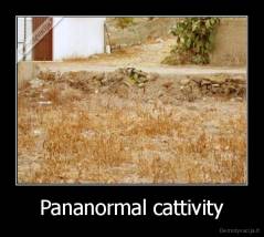 Pananormal cattivity - 