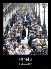Panašu - Į eilę prie LSP