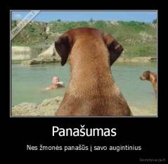 Panašumas - Nes žmonės panašūs į savo augintinius