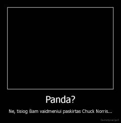 Panda? - Ne, tisiog šiam vaidmeniui paskirtas Chuck Norris...