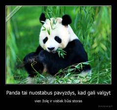 Panda tai nuostabus pavyzdys, kad gali valgyt - vien žolę ir vistiek būsi storas