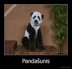 Pandašunis - 