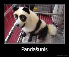 Pandašunis - 