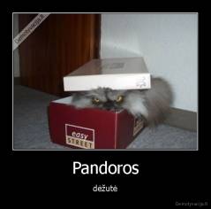 Pandoros - dėžutė
