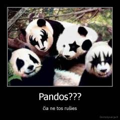 Pandos??? - čia ne tos rušies