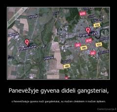 Panevėžyje gyvena dideli gangsteriai, - o Panevėžiukyje gyvena maži gangsteriukai, su mažom chebrikėm ir mažom bytikem.