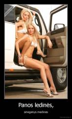 Panos ledinės, - smegenys medines