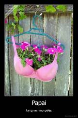 Papai - tai gyvenimo gėlės