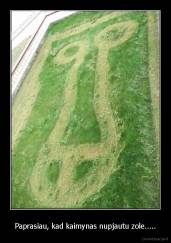 Paprasiau, kad kaimynas nupjautu zole..... - 