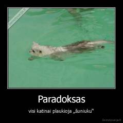 Paradoksas - visi katinai plaukioja „šuniuku“