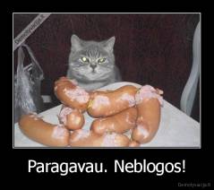 Paragavau. Neblogos! - 