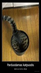 Parduodamas katpuodis - kartu su turiniu viduje