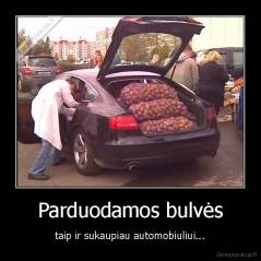Parduodamos bulvės - taip ir sukaupiau automobiuliui...