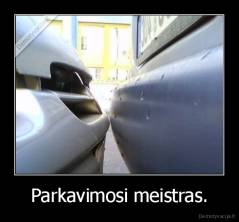 Parkavimosi meistras. - 