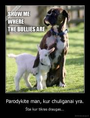 Parodykite man, kur chuliganai yra. - Štai kur tikras draugas...