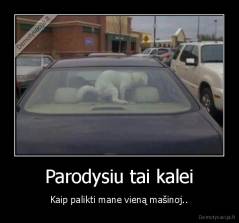 Parodysiu tai kalei - Kaip palikti mane vieną mašinoj..