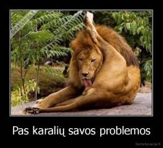 Pas karalių savos problemos - 