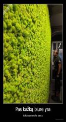 Pas kažką biure yra - tokia samanota siena