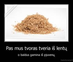 Pas mus tvoras tveria iš lentų - o baldus gamina iš pjuvenų.