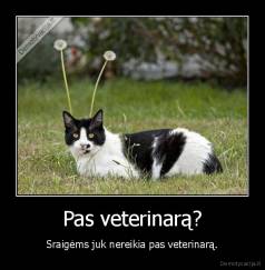 Pas veterinarą? - Sraigėms juk nereikia pas veterinarą.