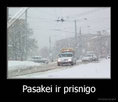 Pasakei ir prisnigo - 