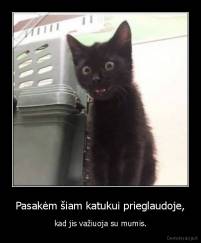 Pasakėm šiam katukui prieglaudoje, - kad jis važiuoja su mumis.