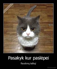 Pasakyk kur paslėpei - Raudoną tašką!