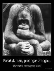 Pasakyk man, protingas žmogau, - iš kur imamos besėklių arbūzų sėklos?