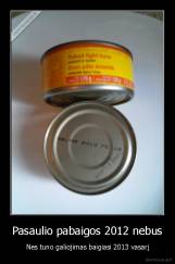 Pasaulio pabaigos 2012 nebus - Nes tuno galiojimas baigiasi 2013 vasarį