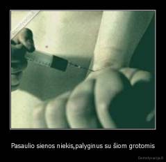 Pasaulio sienos niekis,palyginus su šiom grotomis - 