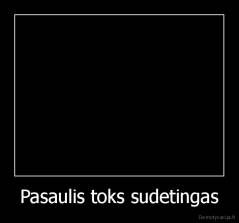 Pasaulis toks sudetingas - 