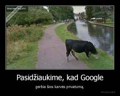 Pasidžiaukime, kad Google - gerbia šios karvės privatumą.
