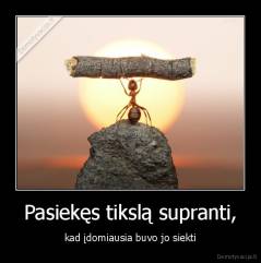 Pasiekęs tikslą supranti, - kad įdomiausia buvo jo siekti