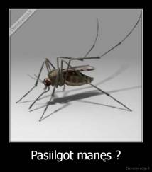 Pasiilgot manęs ? - 