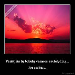 Pasiilgsiu tų tobulų vasaros saulėlydžių... - Jau pasiilgau.