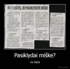 Pasiklydai miške? - ne bėda