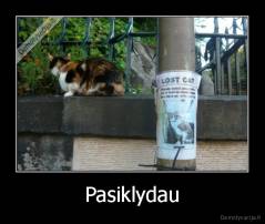 Pasiklydau - 