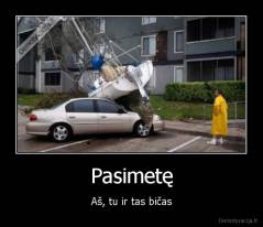 Pasimetę - Aš, tu ir tas bičas