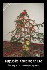 Pasipuošei Kalėdinę eglutę? - Štai kaip atrodo studentiška eglutė:D