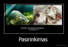 Pasirinkimas  - 